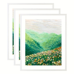 Fotoraamid, 16&times;20【40,6&times;50,8cm】