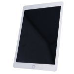 Monitor Touch Panel for iPad Air full front set white