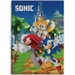 Sonic the Hedgehog Laste pleed 100x140 cm