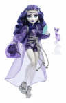 Nukk tarvikutega Monster high Spectra