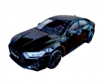 Metallist m&auml;nguauto AUDI RS 7