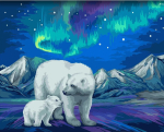 Maalimine numbrite j&auml;rgi Wizardi Aurora Borealis, 40x50 cm