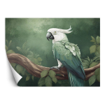 Fototaptes, Linnud Loomad Papagoi