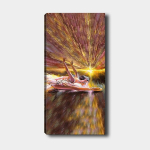 Reproduktsioon Baleriin