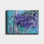 Reproduktsioon Lavendel