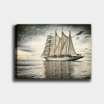 Reproduktsioon Laevad