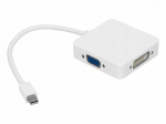 Mini DisplayPort - HDMI VGA DVI Thunderbolt MAC