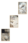 Kolmeosaline Reproduktsioon Huhu480