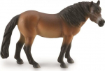 Exmoor Pony Stallion - Collecta