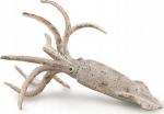 Belemnit - Collecta
