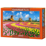 Castorland pusle Hollandi tuuleveskid tulpide seas 1000 tk