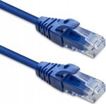 Qoltec UTP-patchkaabel | CAT6 | 2 x RJ-45 | 5 m | Kiire &uuml;hendus | Kuldne