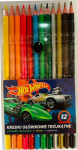 Bambino Hot Wheels v&auml;rvipliiatsid, 12 tk.