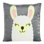 Veluurpadjakate 45x45 cm terashall laamamotiiviga &ndash; KIDS
