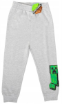Dressip&uuml;ksid poistele Minecraft, hall