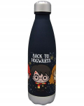 Harry Potteri pudel Hermionele ja Ronile, 650ml
