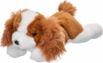 Beppe riteris King Charles Spaniel koer 35 cm