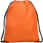 10 tk Universaalne paeltega kott, 36x42 cm