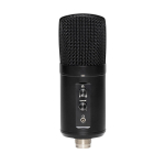 Kahe kondensaatoriga USB -mikrofon Stagg SUSM60D