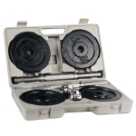 Raskuste komplekt inSPORTline, 2 x 10kg