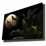 Reproduktsioon Linnud kuuvalgel