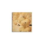 Reproduktsioon Lilled