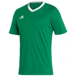Meeste T-s&auml;rk Adidas Entrada 22 Jersey, roheline
