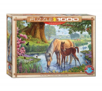 Pusle Eurographics, 6000-0976, The Fell Ponies, 1000 tk