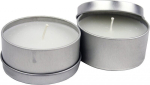 citronella candles 6,5 x 3 cm zinc/wax white 2 pieces -