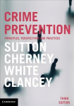 Crime Prevention: Principles, Perspectives and Practices 3rd Revised edition