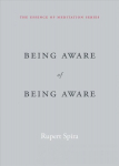 Being Aware of Being Aware: The Essence of Meditation, Volume 1, Volume 1