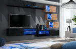 Sektsioon ASM Switch XXIV, must/pruun