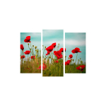 Kolmeosaline reproduktsioon Moonid