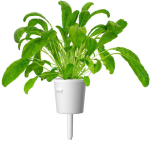 Click & Grow Smart Garden refill Mibuuna 3tk