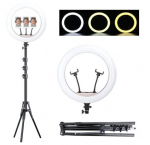 R&otilde;ngakujuline LED-lamp, 35cm, 100W