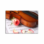 Reproduktsioon Viiul ja roos