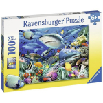 pusle ravensburgeri 100 tk haide riff