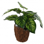 Basket Ginger S, Papyrus, 20x20x26cm, Natural
