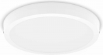 Philips plafoon Magneos DL252, &uuml;mmargune, valge, 1900lm, 2700K