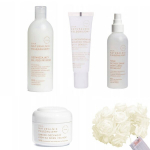 Kosmeetiline kinkekomplekt Ziaja Naturally Care naistele: p&auml;eva- ja &ouml;&ouml;kreem, 50 ml + seerum, 30 ml + du&scaron;igeel, 400 ml + nahka puhastav toonik, 200 ml