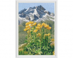 Ristpistes tikkimiskomplekt, RTO, 12,5x18 cm, M965