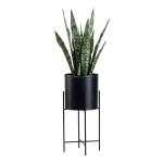 Lillehoidja korpus, must, 55 cm