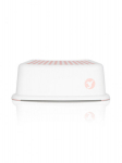 Aste Colibro, Pink/valge, roosa