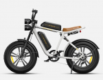 Elektrijalgratas Engwe M20 Dual Battery, valge