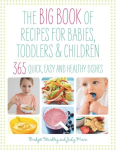Big Book of Recipes for Babies, Toddlers & Children: 365 Quick, Easy and Healthy Dishes New edition