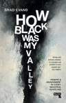 How Black Was My Valley: Poverty and Abandonment in a Post-Industrial Heartland New edition