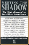 Meeting the Shadow: The Hidden Power of the Dark Side of Human Nature