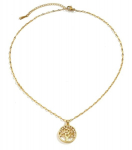 Kuldne kaelakee, elegantne kirurgiline teras, puuripats