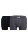Bokserid Tom Tailor, M