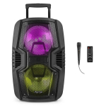 Kaasaskantav helis&uuml;steem 2x10" Fenton FT210LED, FT210LED